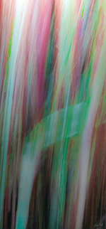 Island Palette Panorama - Rick Scalf Island Palette Panorama - Rick Scalf