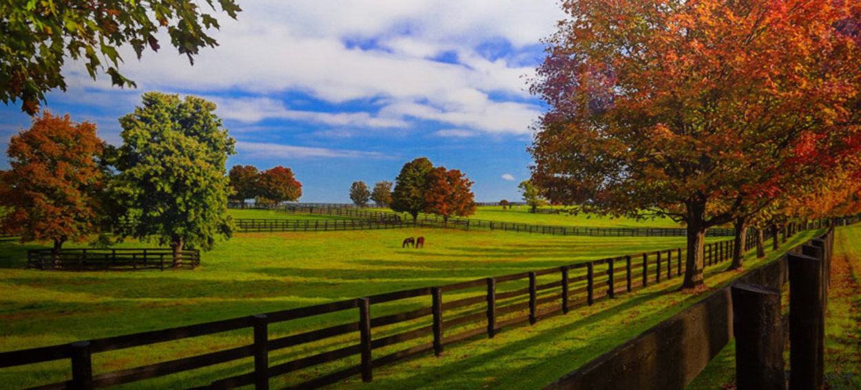Chasing a Dream Panorama by Rick Scalf Chasing a Dream Panorama by Rick Scalf