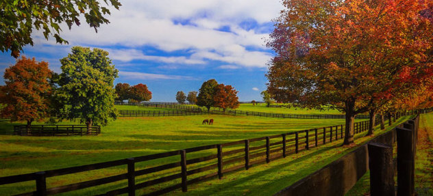 Chasing a Dream Panorama by Rick Scalf