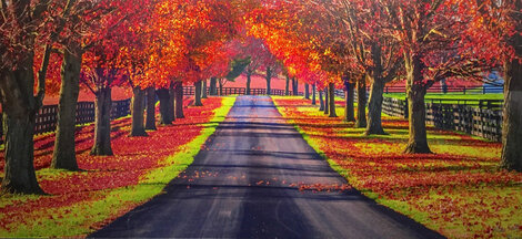 Road Home - Huge - Recess Mount - Kentucky Panorama - Rick Scalf