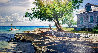 Home on the Point 32x48 - Huge - Caribbean Original Painting by Howard Schafer - 0