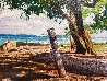 Home on the Point 32x48 - Huge - Caribbean Original Painting by Howard Schafer - 6