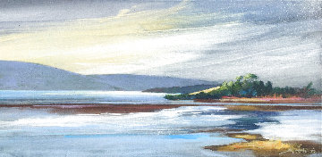 Tom's Inlet 2018 18x37 Original Painting - Tim Schaible Tom's Inlet 2018 18x37 Original Painting - Tim Schaible