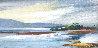 Tom's Inlet 2018 18x37 - Marin County, Ca Original Painting by Tim Schaible - 0