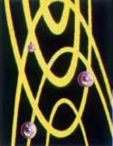 Orbiting 1998 Limited Edition Print by Kenny Scharf Orbiting 1998 Limited Edition Print by Kenny Scharf