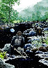 Eternal River AP 1997 - Huge Limited Edition Print by Schim Schimmel - 0