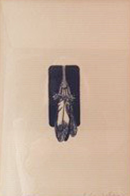 Feather Fan 1974 Limited Edition Print - Fritz Scholder