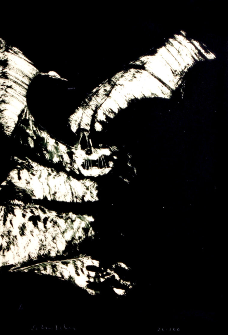 Anpao/BAT 1977 Limited Edition Print by Fritz Scholder Anpao/BAT 1977 Limited Edition Print by Fritz Scholder