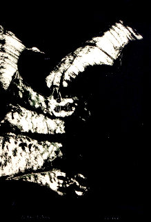 Anpao/Bat 1977 Limited Edition Print - Fritz Scholder Anpao/Bat 1977 Limited Edition Print - Fritz Scholder