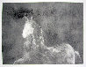 Dream Horse Series, Unique #1 Monotype 1986 30x40 - Huge Works on Paper (not prints) by Fritz Scholder - 0