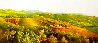 Toscana Landscape 2019 28x59 - Huge Original Painting by Heinz Scholnhammer - 0