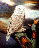 Untitled Owl Painting 1970 32x28 Original Painting by Bert Seabourn - 0