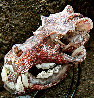 Java Tiger Skull Glass Sculpture 2010 11 in Sculpture by Ron Seivertson - 0