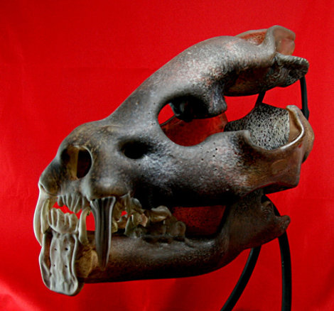 Saber Toothed Cat Skull Unique Glass Sculpture 2010 11 in Sculpture - Ron Seivertson