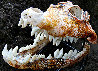 Crocodile Skull Unique Glass Sculpture 2010 Sculpture by Ron Seivertson - 0