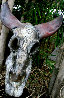 Buffalo Skull Unique Glass Sculpture 2010 18 in Sculpture by Ron Seivertson - 0