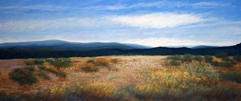 #534 Out West Pastel  23x41 Works on Paper (not prints) - Eileen Serwer