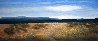 #534 Out West Pastel  23x41 Works on Paper (not prints) by Eileen Serwer - 0