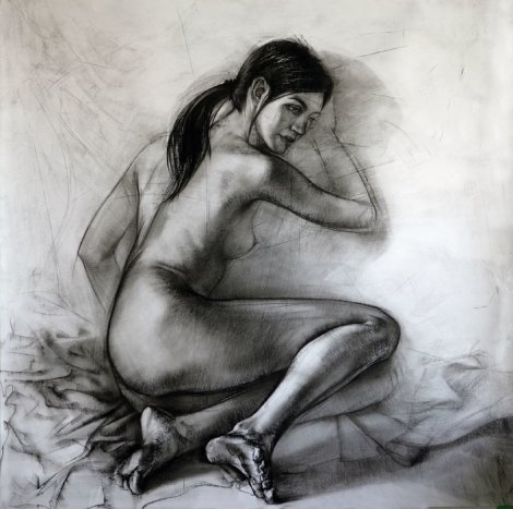 Nude And Fabric Drawing 38x38 Drawing - Alexander Sheversky