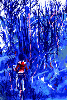 Boy on a Bike in Blue 1970 Limited Edition Print - Nicola Simbari