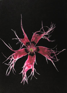 Japanese Carnation 2010 Limited Edition Print - Jonathan Singer Japanese Carnation 2010 Limited Edition Print - Jonathan Singer