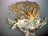Devonian Seafan Bronze Sculpture 24 in Sculpture by M. L. Snowden - 4 Devonian Seafan Bronze Sculpture 24 in Sculpture by M. L. Snowden - 4
