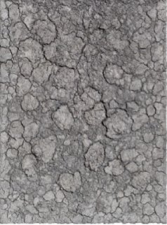 Untitled Painting 2013 77x55 Original Painting - Bosco Sodi Untitled Painting 2013 77x55 Original Painting - Bosco Sodi