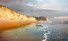 Sonoma County Coast 2021 29x45 - Huge - California Original Painting by Vladimir Sorin - 0