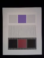 Untitled Serigraph Limited Edition Print by Jesus Rafael Soto - 1