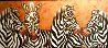 Zebras 2000 50x70 Huge - Mural Size Original Painting by Luis Sottil - 0