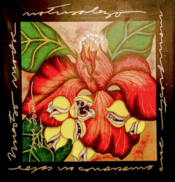 Emotions Through Color: Red Iris 2014 - Framed - Canvas Limited Edition Print by Luis Sottil