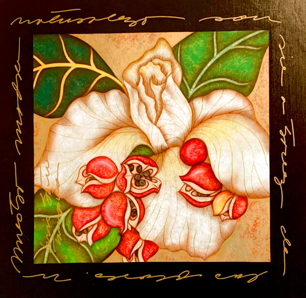 Emotions Through Color: White Iris 2014 - Framed Natrualismo on Canvas Limited Edition Print by Luis Sottil