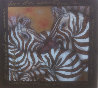 Zebras 1999 31x31 Original Painting by Luis Sottil - 1