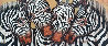 Captivating Harmony 2003 Zebras 41x69 Huge - Mural Size Original Painting by Luis Sottil - 0