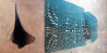 Diviners, 1990 104x44 Mural Limited Edition Print by Robert Stackhouse - 0 Diviners, 1990 104x44 Mural Limited Edition Print by Robert Stackhouse - 0