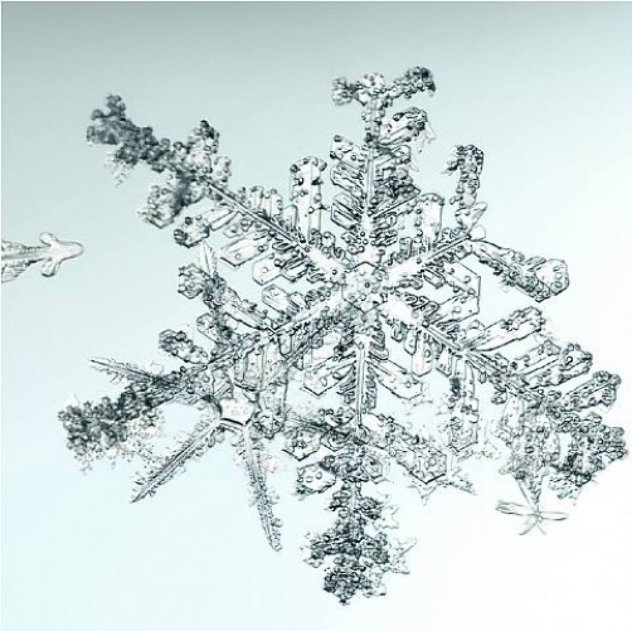 Untitled (Snowflake) 2006 Limited Edition Print by Doug and Mike Starn