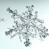 Untitled (Snowflake) 2006 Limited Edition Print by Doug and Mike Starn - 0