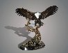 Wings of Fury 2015 40 in Sculpture by Barry Stein - 0
