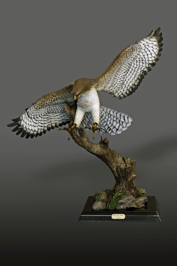 Red-Tailed Hawk Bronze Sculpture 2016 40x36 Sculpture by Barry Stein Red-Tailed Hawk Bronze Sculpture 2016 40x36 Sculpture by Barry Stein