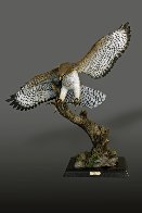 Red-Tailed Hawk Bronze Sculpture 2016 40x36 Sculpture by Barry Stein - 0 Red-Tailed Hawk Bronze Sculpture 2016 40x36 Sculpture by Barry Stein - 0