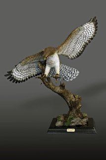 Red-Tailed Hawk Bronze Sculpture 2016 40x36 Sculpture - Barry Stein