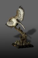 Red-Tailed Hawk Bronze Sculpture 2016 40x36 Sculpture by Barry Stein - 1 Red-Tailed Hawk Bronze Sculpture 2016 40x36 Sculpture by Barry Stein - 1