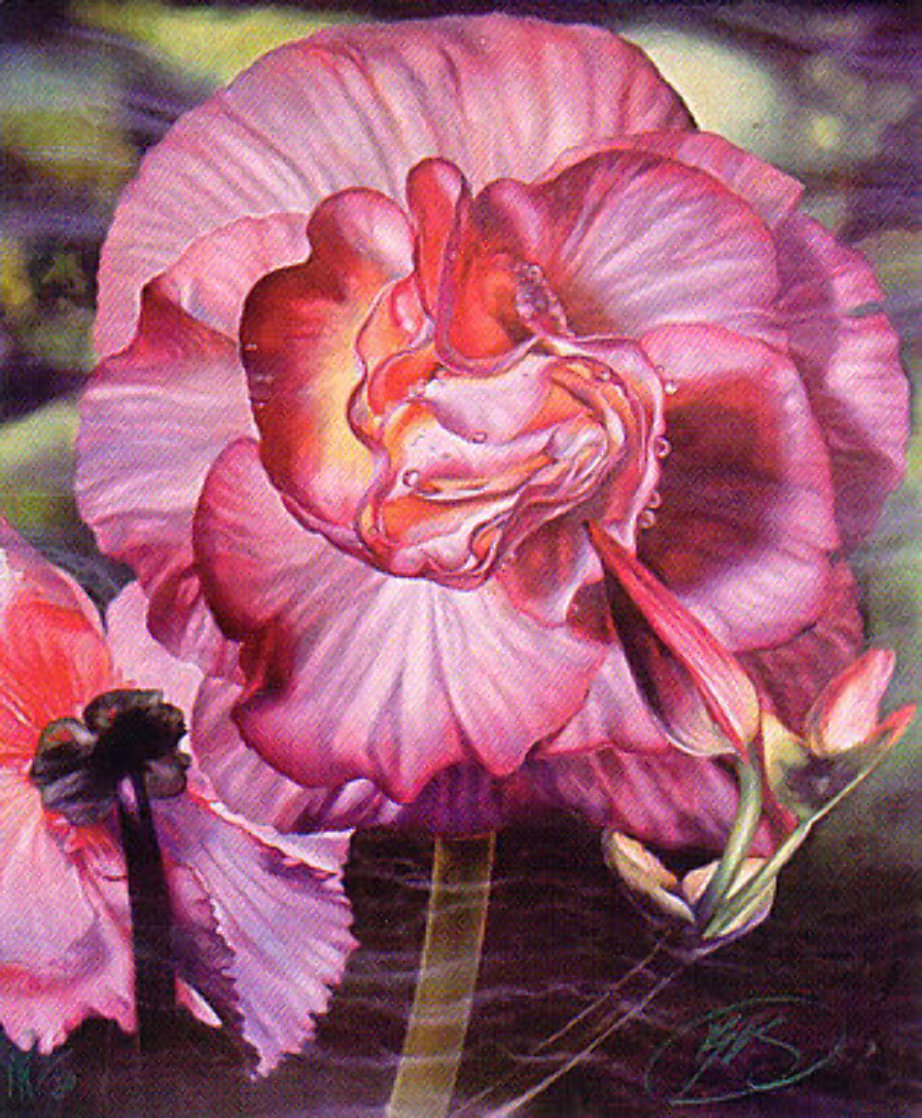Begonia 1984 Limited Edition Print by Brett Livingstone Strong