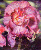 Begonia 1984 Limited Edition Print by Brett Livingstone Strong - 0 Begonia 1984 Limited Edition Print by Brett Livingstone Strong - 0