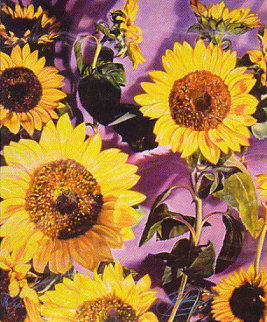 Sunflowers 1984 Limited Edition Print - Brett Livingstone Strong Sunflowers 1984 Limited Edition Print - Brett Livingstone Strong