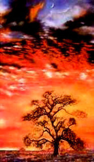 Sunset Tree 1984 Limited Edition Print - Brett Livingstone Strong Sunset Tree 1984 Limited Edition Print - Brett Livingstone Strong