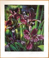 Les Fleurs Suite of Four HC 1995 Limited Edition Print by Brett Livingstone Strong - 1