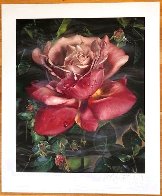 Les Fleurs Suite of Four HC 1995 Limited Edition Print by Brett Livingstone Strong - 4