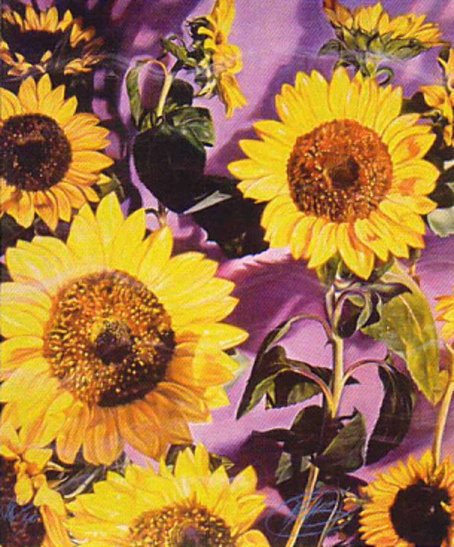 Sunflower Limited Edition Print by Brett Livingstone Strong Sunflower Limited Edition Print by Brett Livingstone Strong