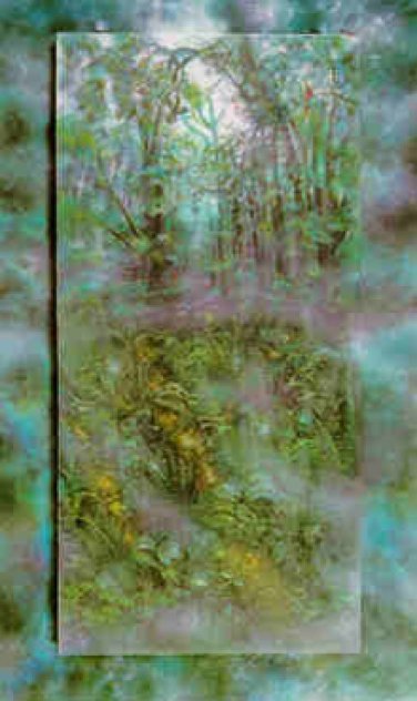 Emerald Rainforest 1990 Limited Edition Print by Brett Livingstone Strong